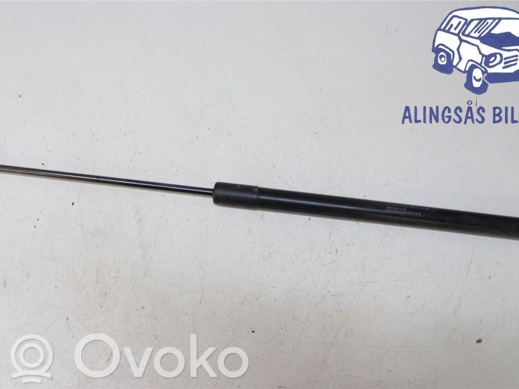 Fiat Tipo Tailgate strut 