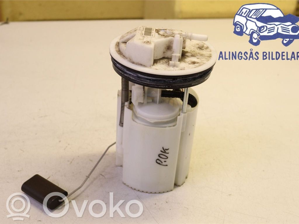 Ford B-MAX In-tank fuel pump 
