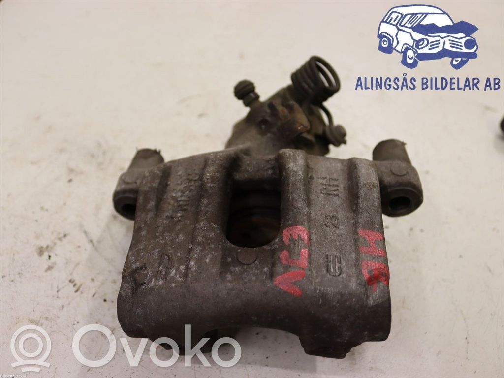 Takajarrusatula   BPYK2661XC