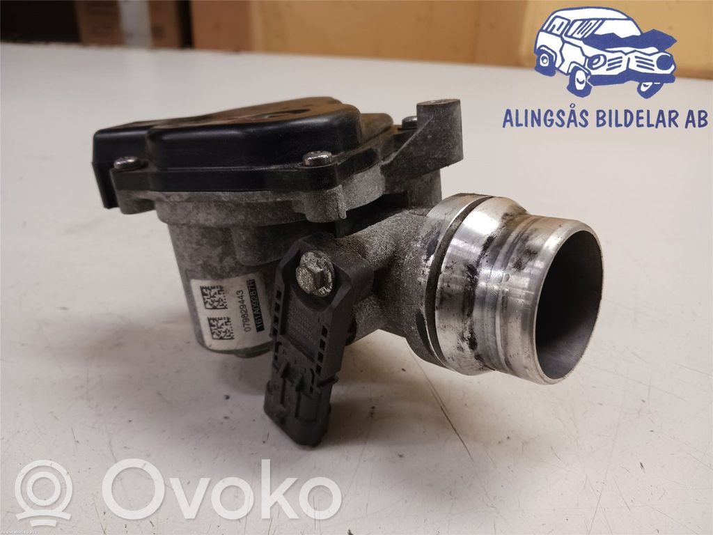 Throttle valve   161A09287R,161A09287R