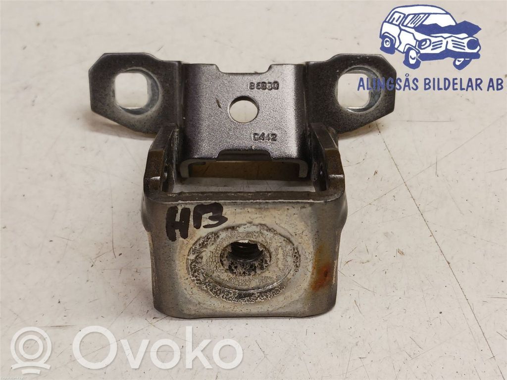 Tailgate/trunk/boot hinge   52024838