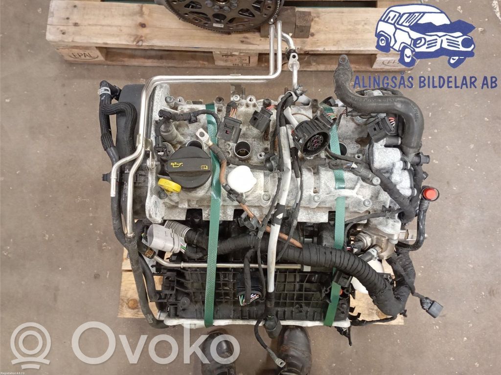 Motor   04E100099A