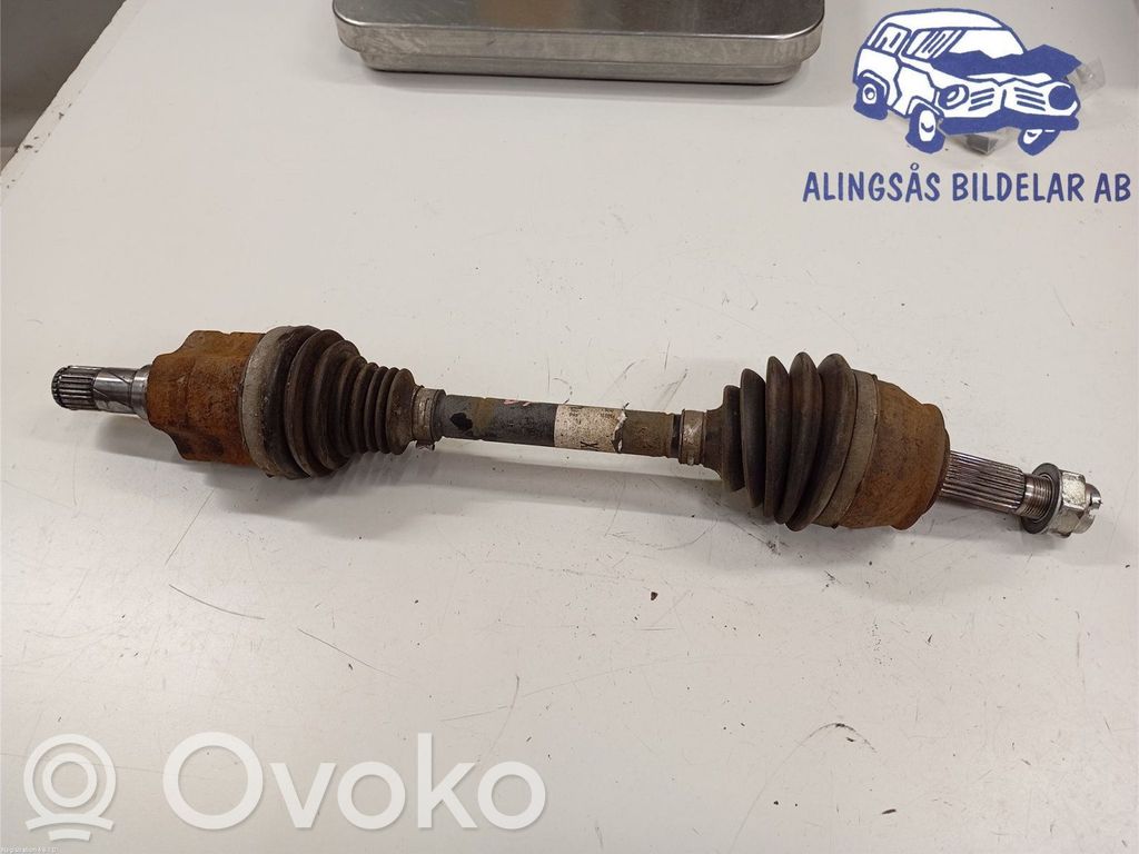 Priekšējā pusass   13149834