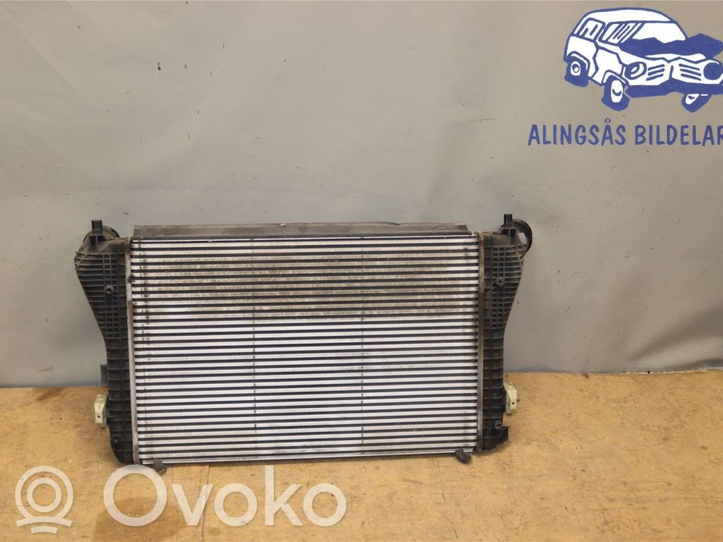 Volkswagen PASSAT B7 Interkūlerio radiatorius 
