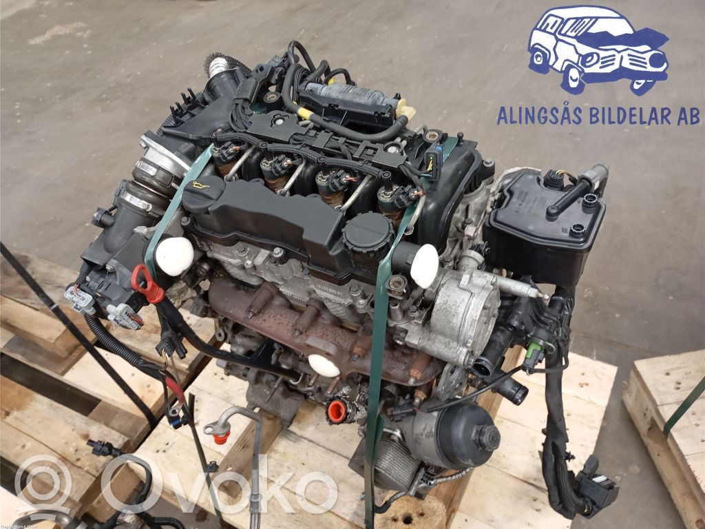 Motor   11002146818