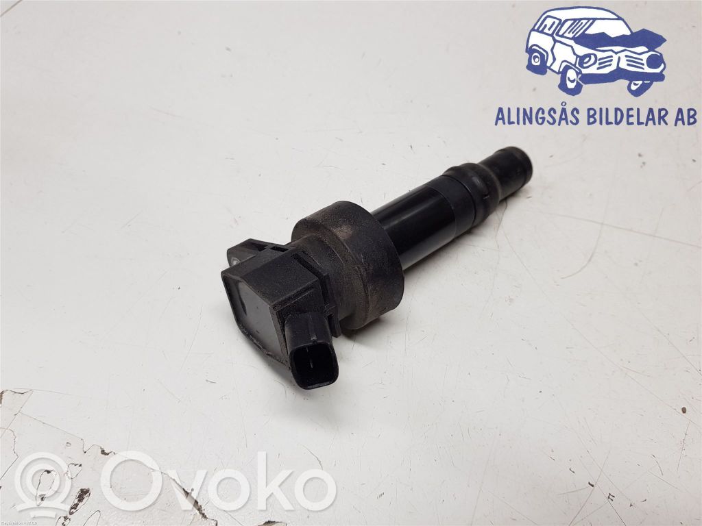 Aukštos įtampos ritė "babyna"   273012B100,273012B100,273012B100