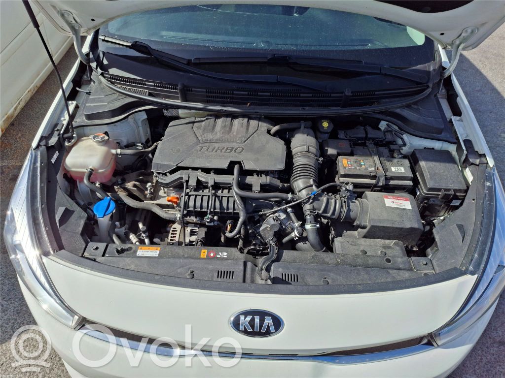 KIA Rio Motor 