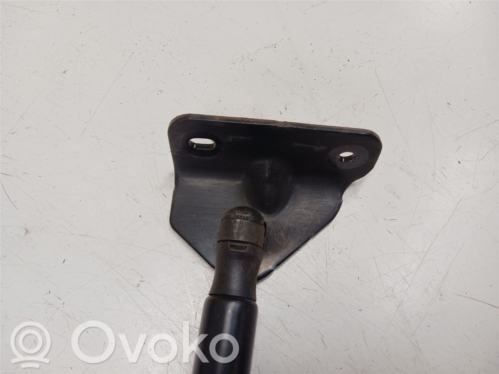 Ford Focus Puntone del portellone posteriore 