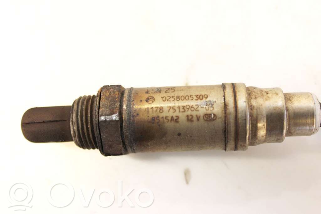 Sonda lambda   11787513962,0258005309
