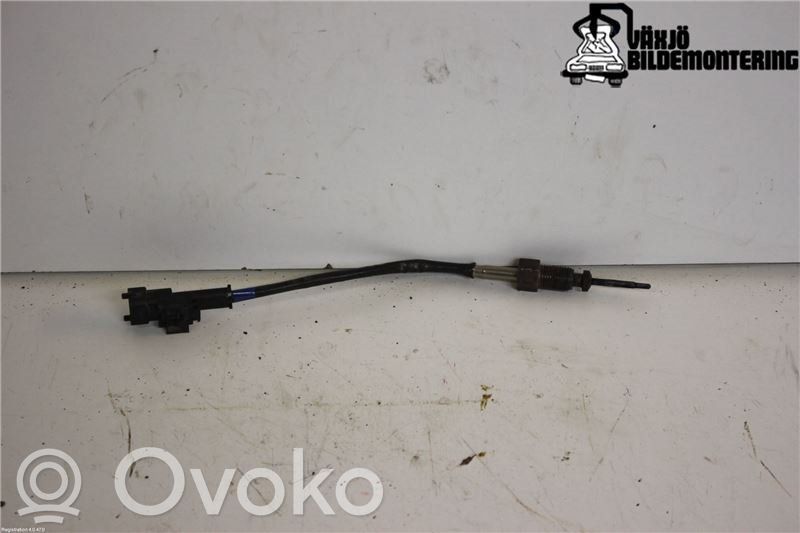 Hyundai ix20 Išmetamųjų dujų temperatūros daviklis 