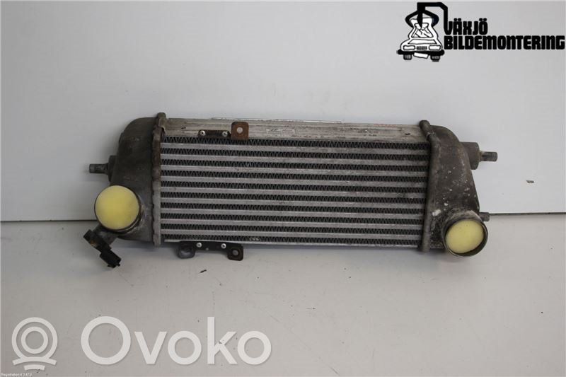 Interkūlerio radiatorius   282702A62X