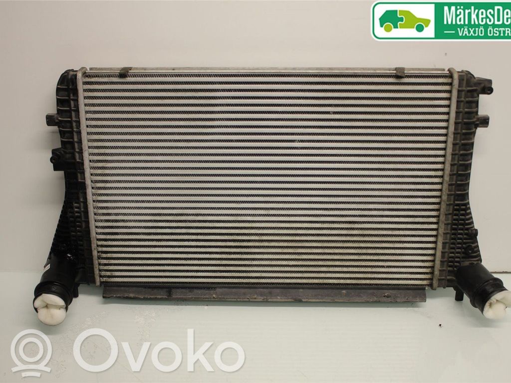 Volkswagen PASSAT B7 Interkūlerio radiatorius 