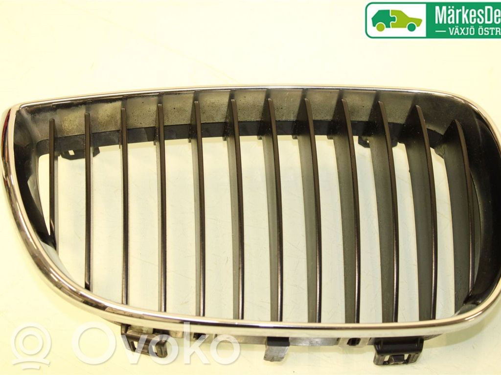 Front bumper lower grill   51137077130