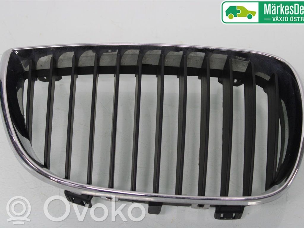 BMW 1 E81 E87 Front bumper lower grill 