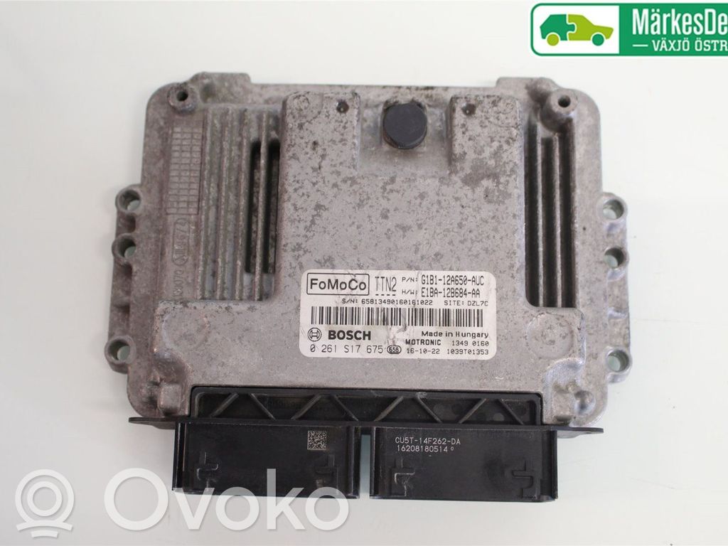 Injection control unit/module   1870841,0261S17675,E1BA12B684AA