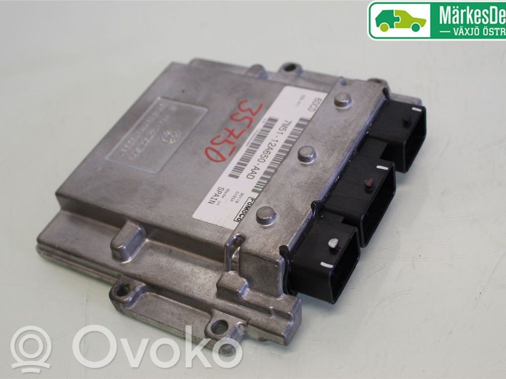 Ford Focus Injection control unit/module 