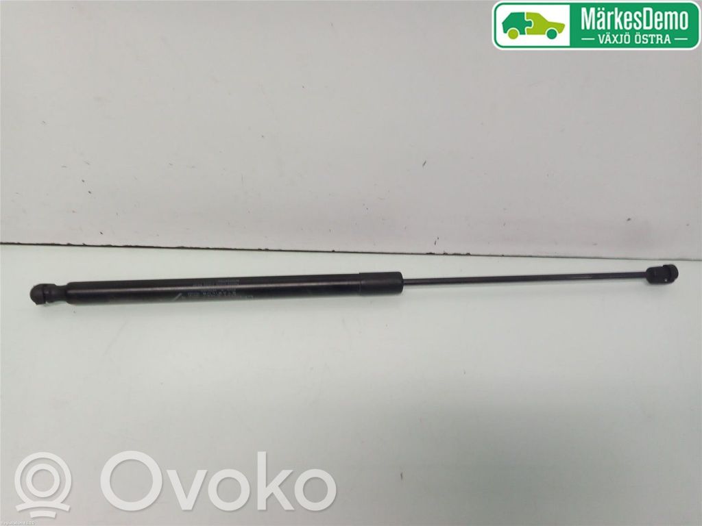 Fiat Tipo Tailgate strut 