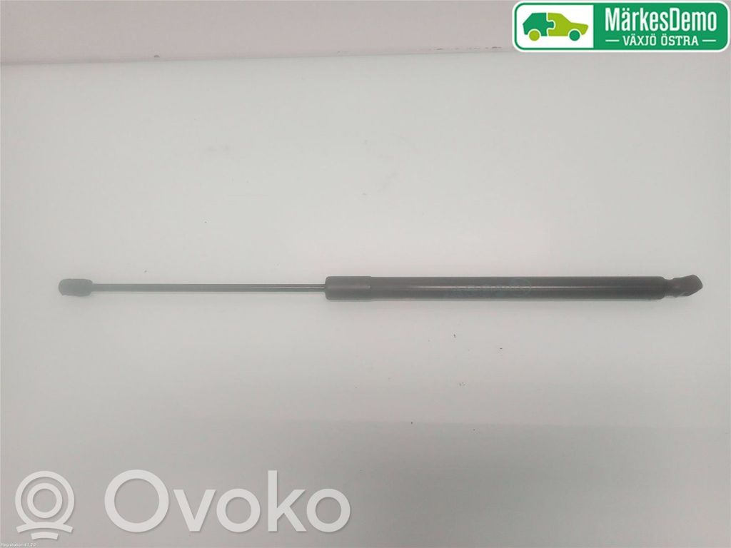 Ford Focus Tailgate strut 