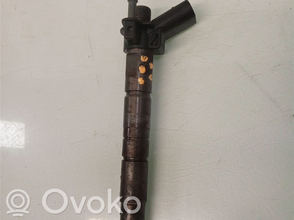 Inyector de combustible   13537805430