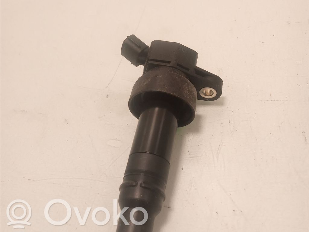 Aukštos įtampos ritė "babyna"   273012B100