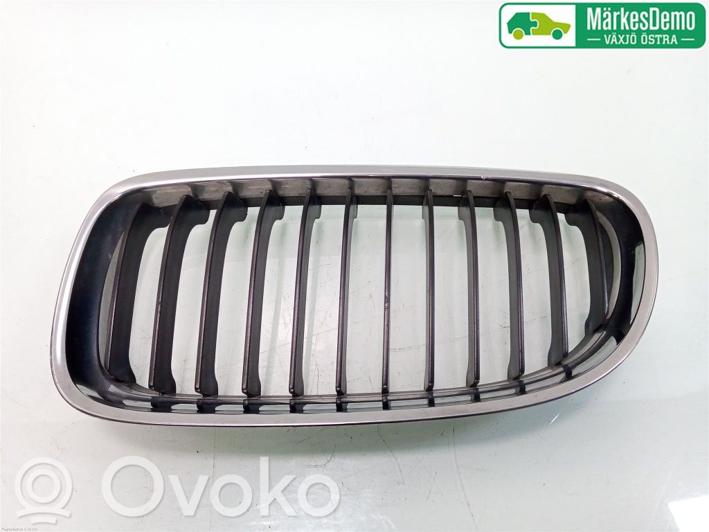 Front bumper lower grill   51137201967