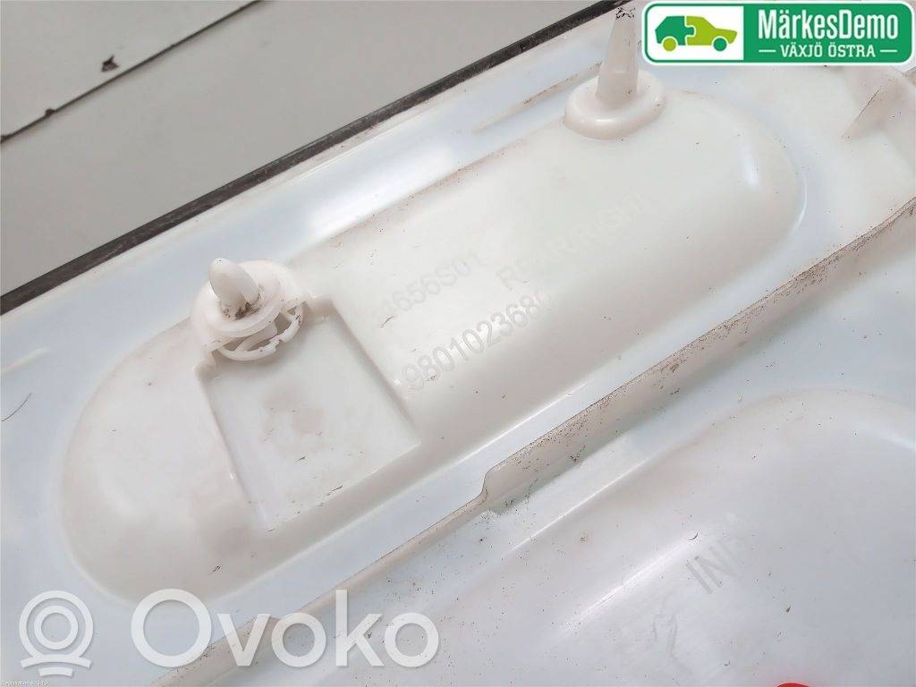 Citroen C4 Cactus Mască ușă spate (turnată) 