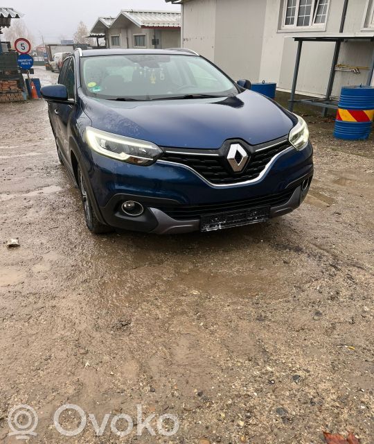 Renault Kadjar Sparnas 
