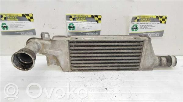 Intercooler radiator   93967