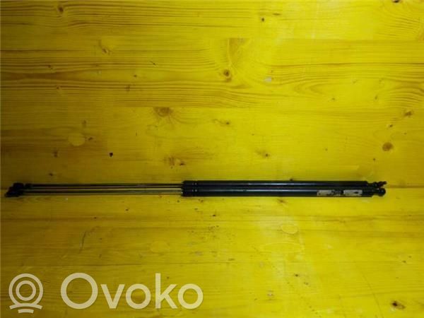 Tailgate/trunk/boot lid buffer
