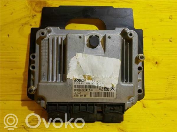 Engine control unit/module ECU   281011629,9656494400