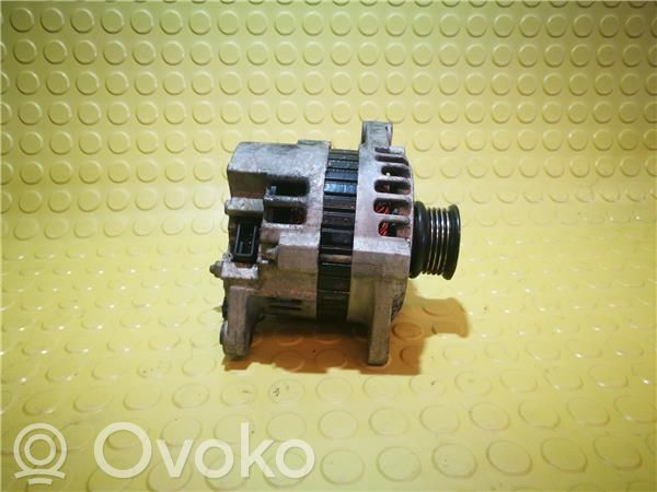 Generator/alternator   96303556