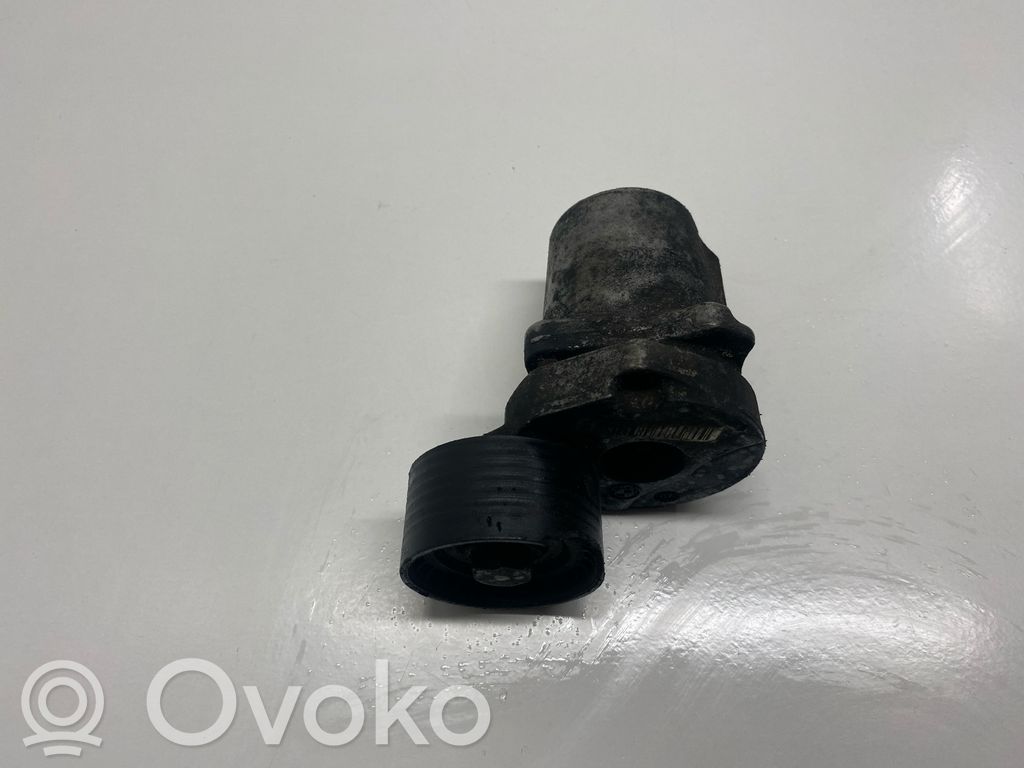 BMW X3 E83 Întinzător curea generator/alternator 