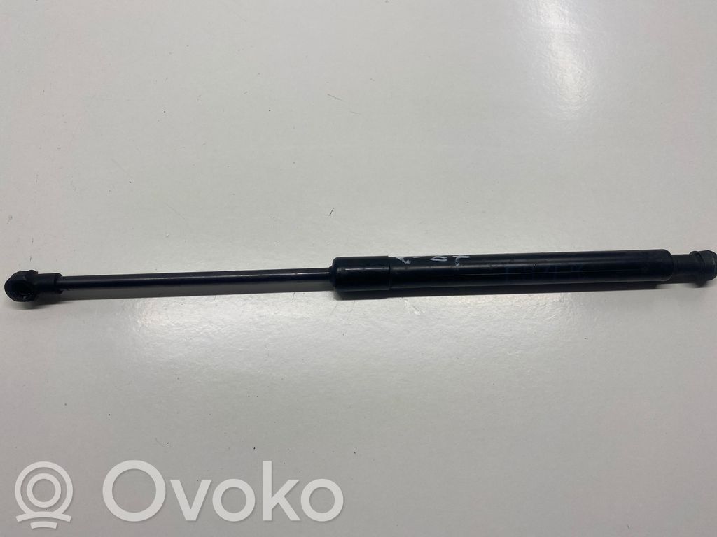 Front bonnet/hood damper/strut   E071