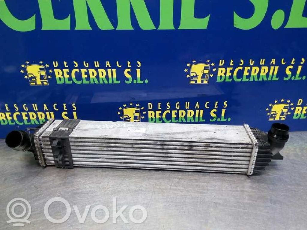 Renault Laguna III Chłodnica powietrza doładowującego / Intercooler 
