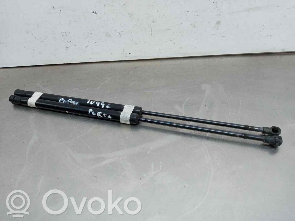 Tailgate/trunk strut/damper