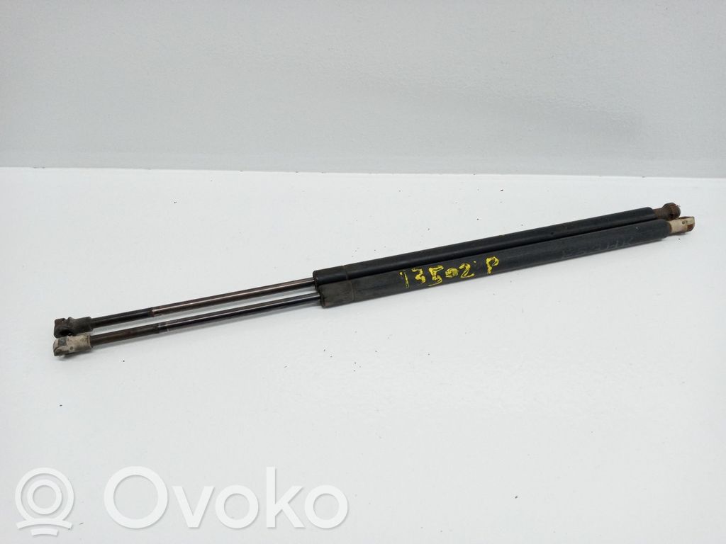 Tailgate/trunk strut/damper