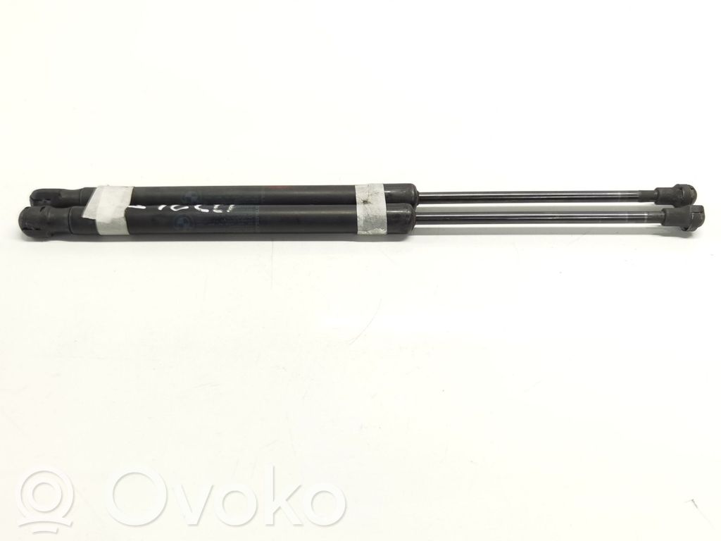 Tailgate/trunk strut/damper   51247060622
