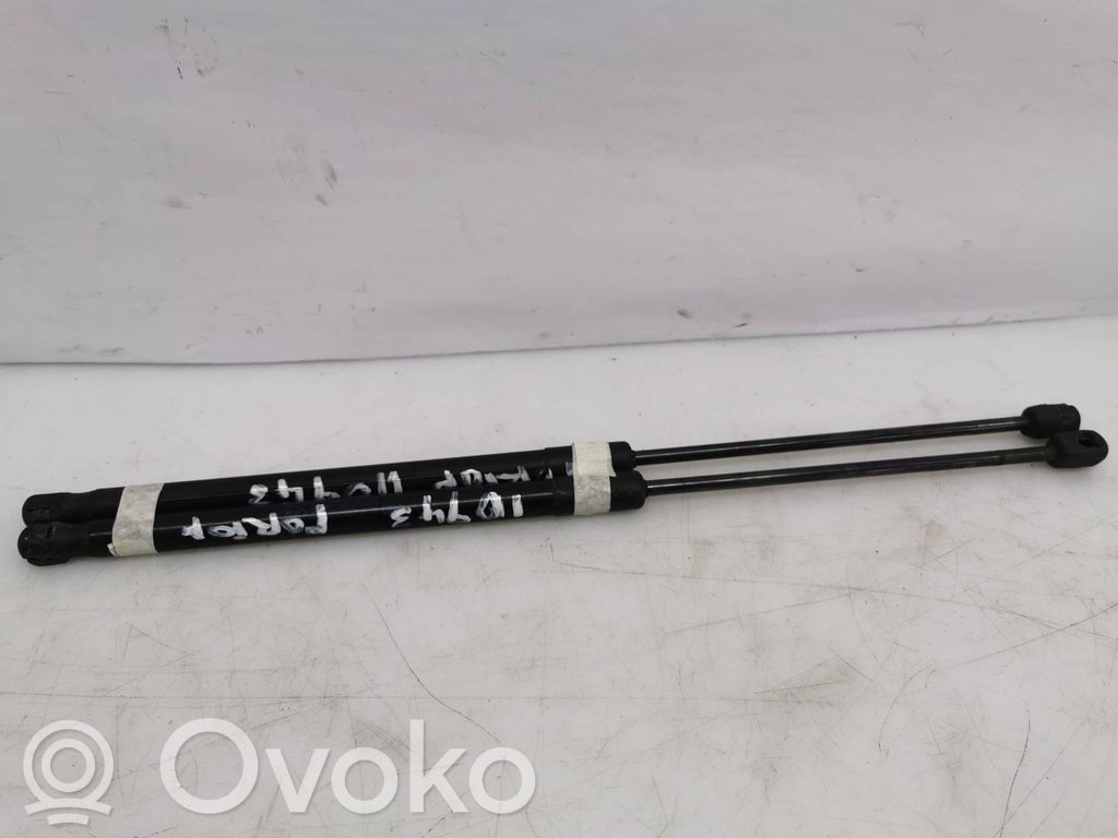 Tailgate/trunk strut/damper