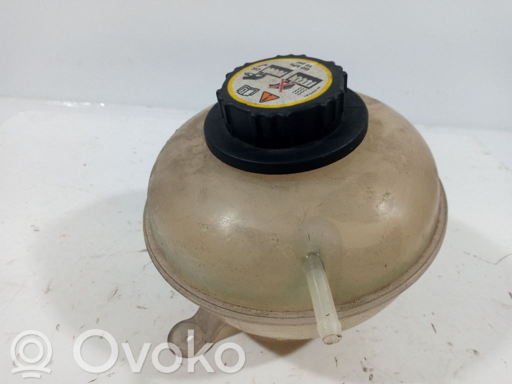 Vaso di espansione carburante