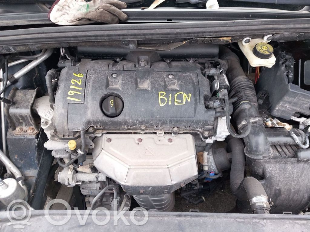 Motor   8FP