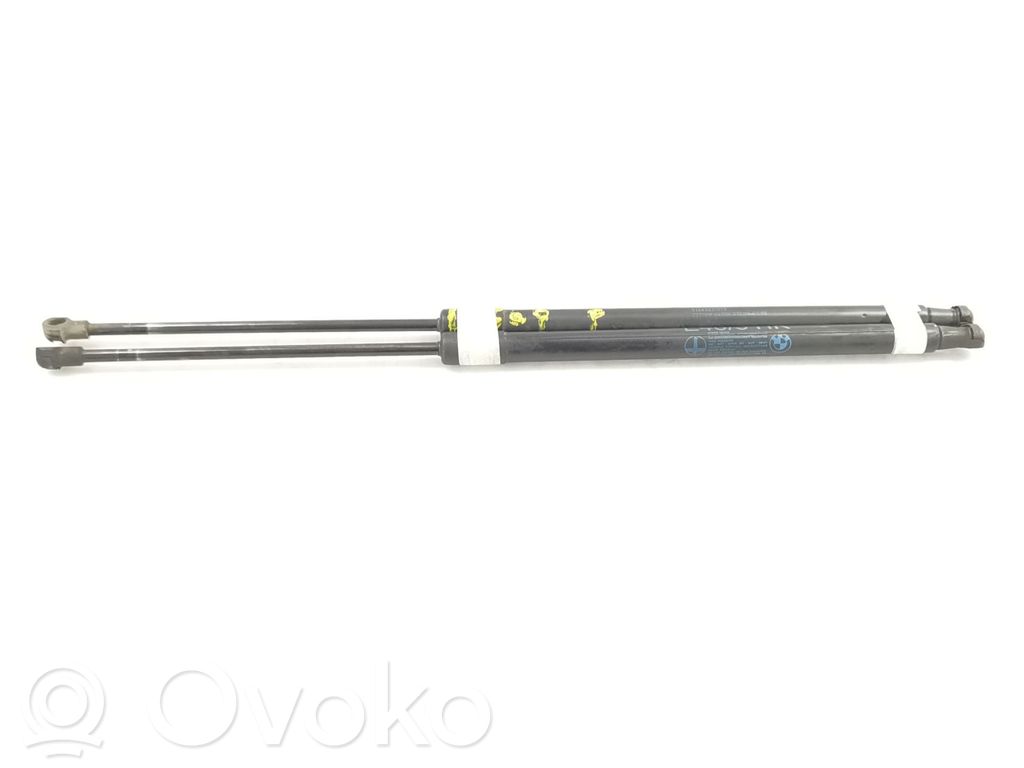 Tailgate/trunk strut/damper   51248232873
