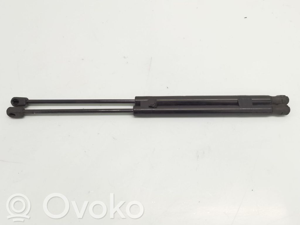 Tailgate/trunk strut/damper
