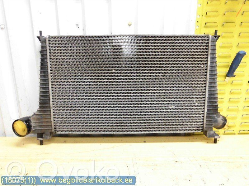 Intercooler radiator   874416U