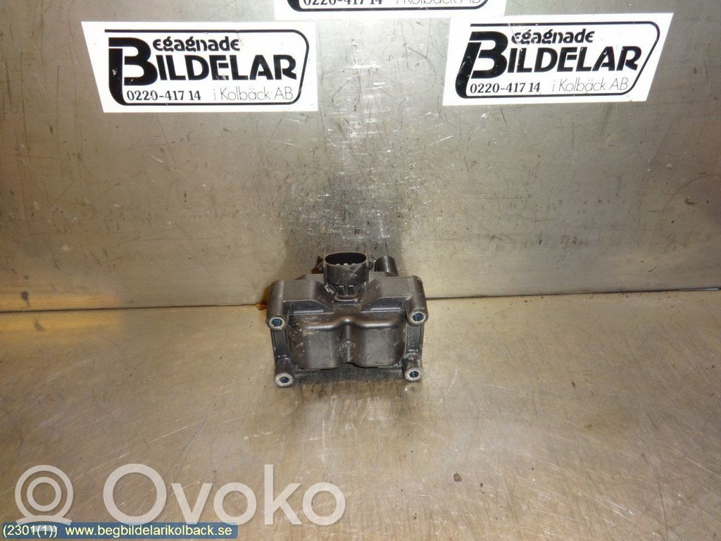 Bobina de encendido de alto voltaje   0221503491