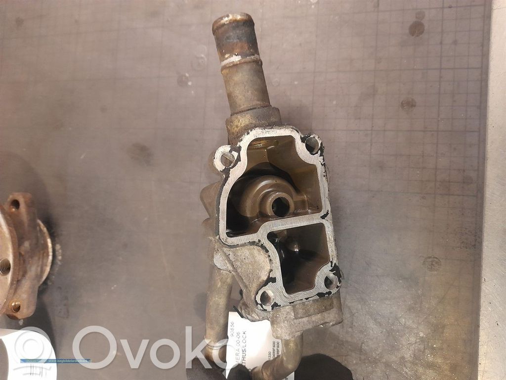 Nissan Almera N16 Termostat / Obudowa termostatu 