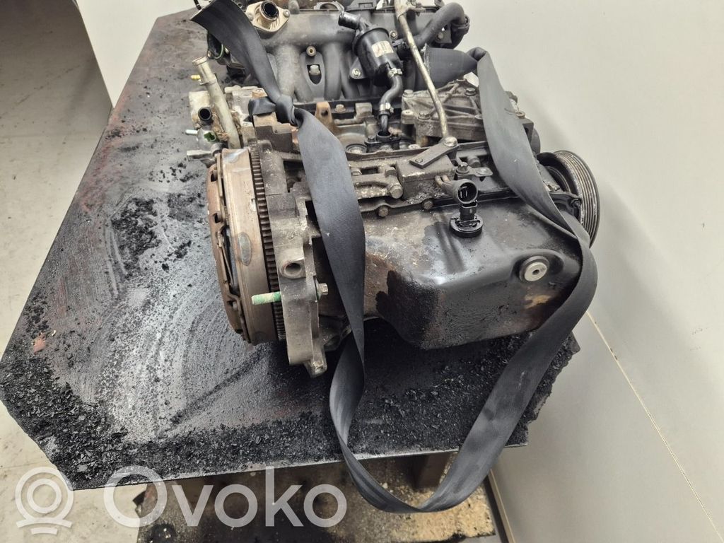 Engine   55228480