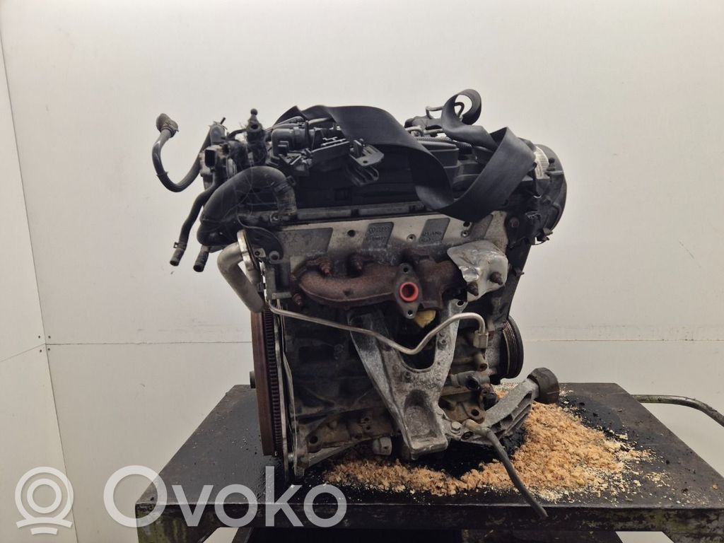 Motor   03L100036A