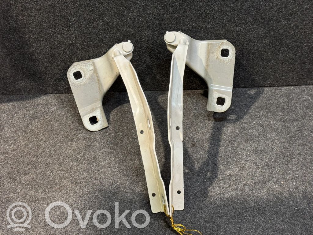 Engine bonnet/hood hinges   22420,21720
