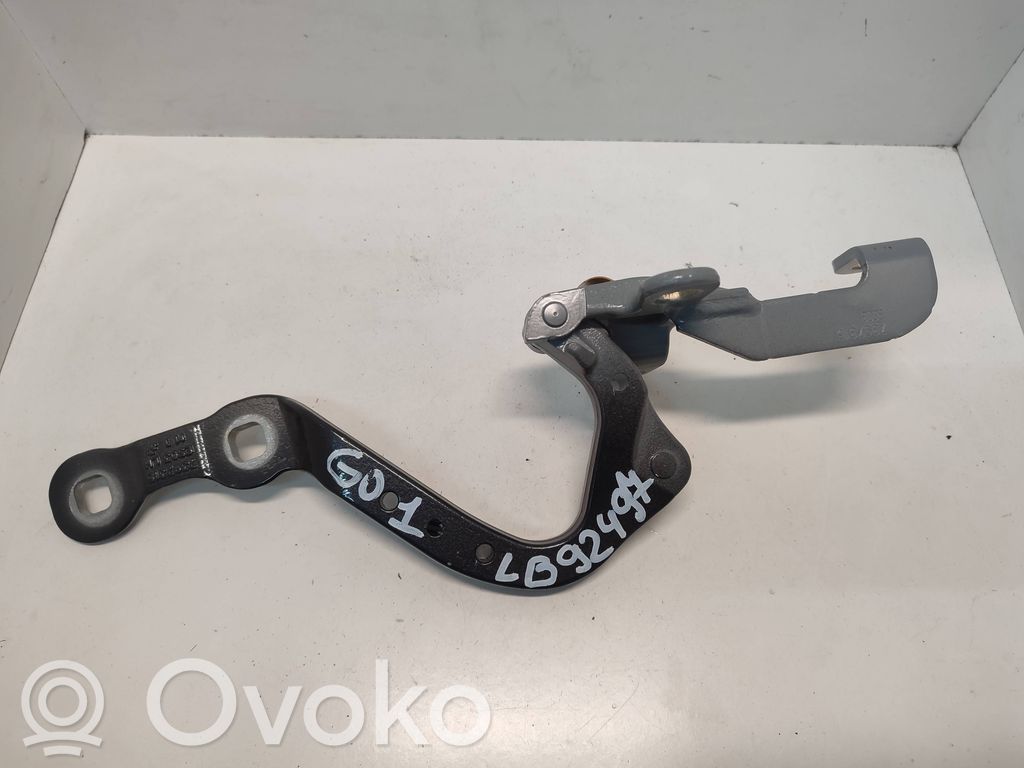 Tailgate/trunk/boot hinge   7397315