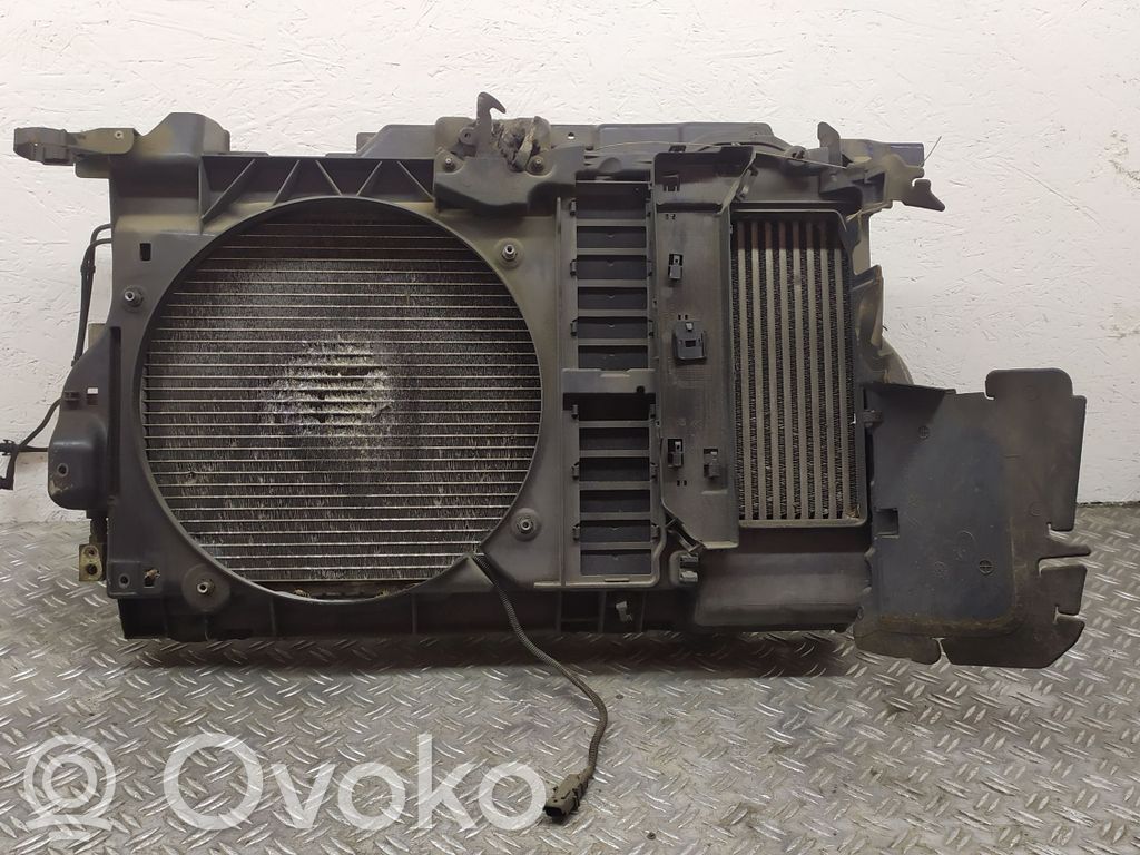 Radiatoru panelis